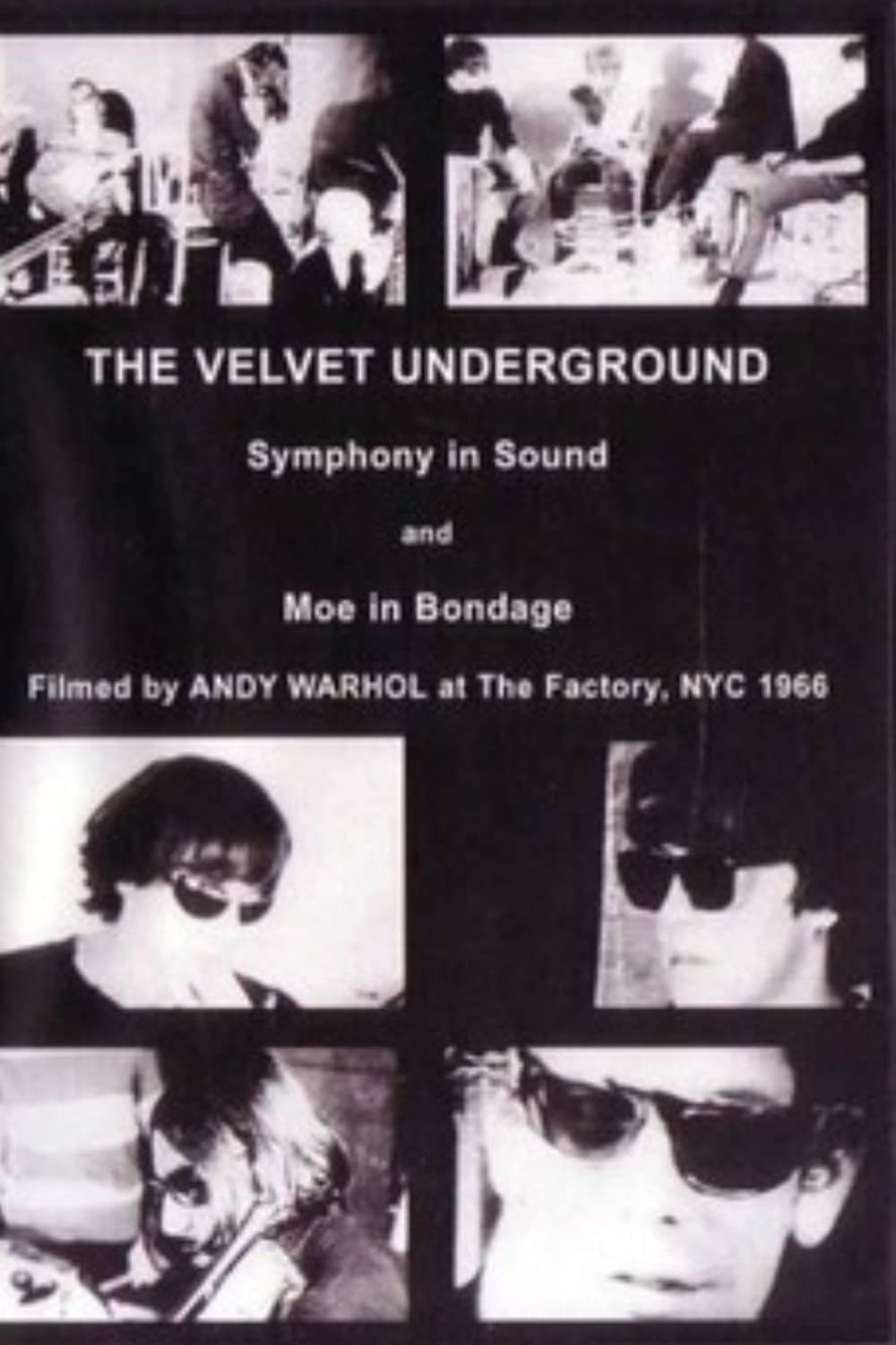 Filmbeschreibung zu The Velvet Underground and Nico (OV)