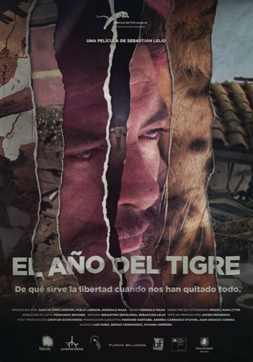 Filmbeschreibung zu The Year of the Tiger