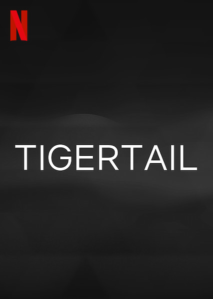 Filmbeschreibung zu Tigertail