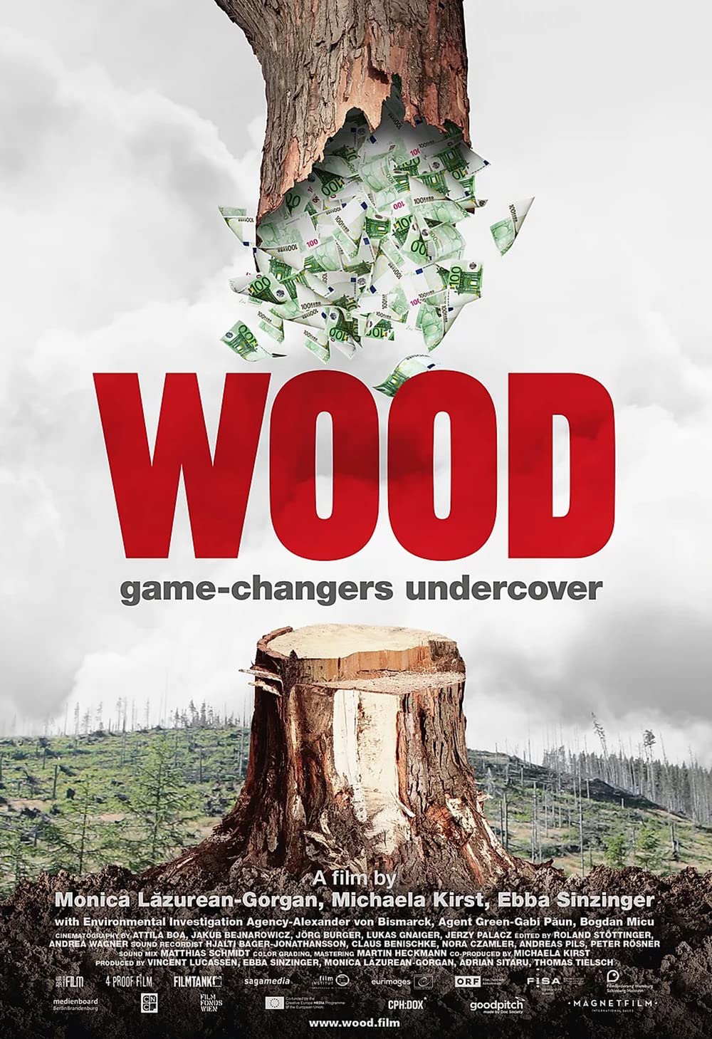 Filmbeschreibung zu WOOD - Der geraubte Wald