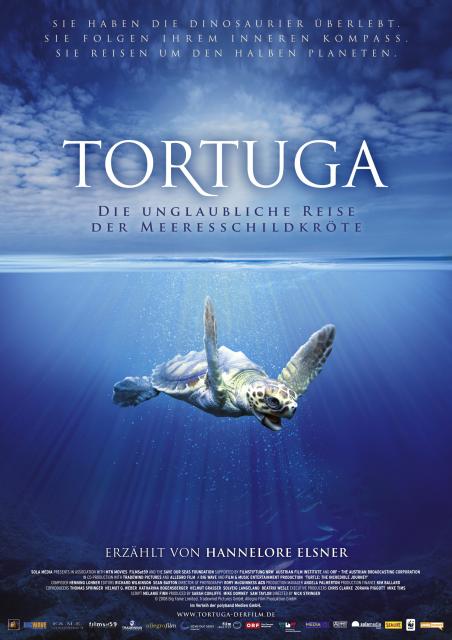 Filmbeschreibung zu Tortuga - Die unglaubliche Reise der Meeresschildkröte