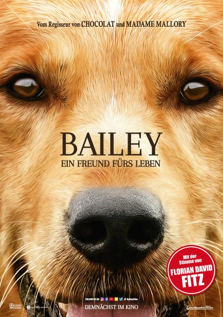 Filmbeschreibung zu Bailey - Ein Freund fürs Leben